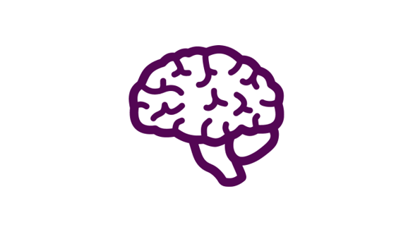Brain 2