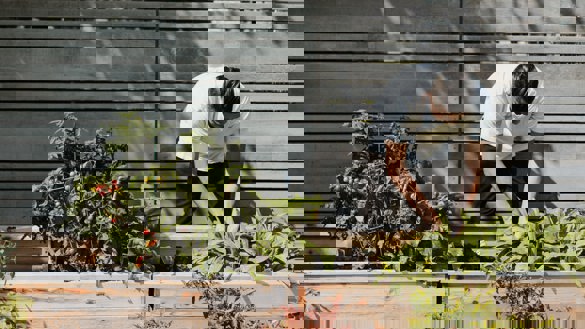 Gardening Unsplash