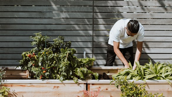 Gardening Unsplash